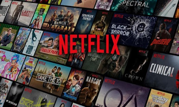 Delhi High Court Directs Rogue Cyberlocker Websites To Take Down Listings Of Copyrighted Content Of Netflix, Universal City Studios