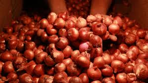 Centre Defends Onion Export Ban, Says MEP Was Temporary & Needed To Protect Consumers Amid Price Spikes