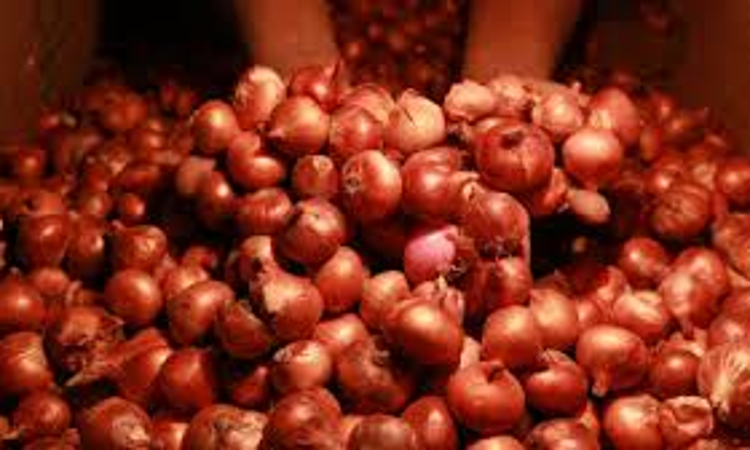 Centre Defends Onion Export Ban, Says MEP Was Temporary & Needed To Protect Consumers Amid Price Spikes