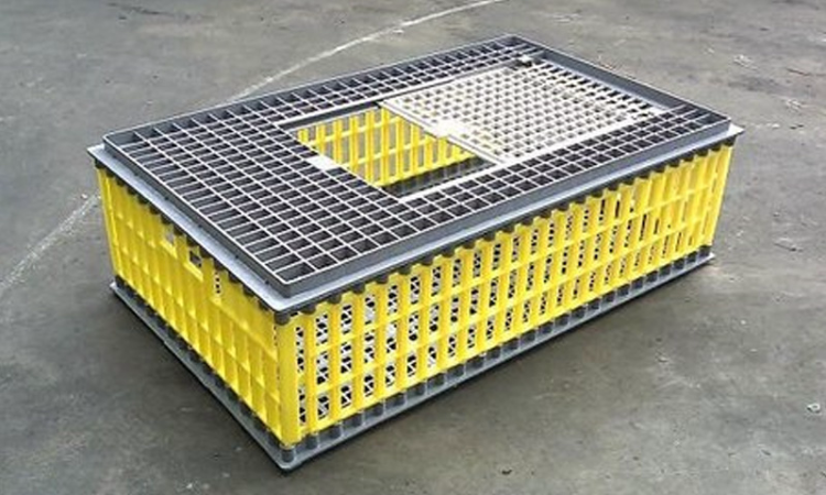 Poultry Crates Attracts 18% GST: AAR