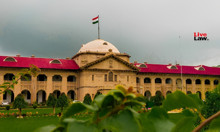 Failure to Cite Judgement Wont Invalidate Original Judgement | Allahabad High Court