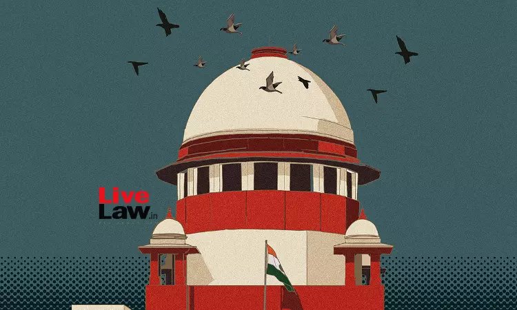 Central Government Opposes Granting of Refugee Status to Rohingya in Supreme Court