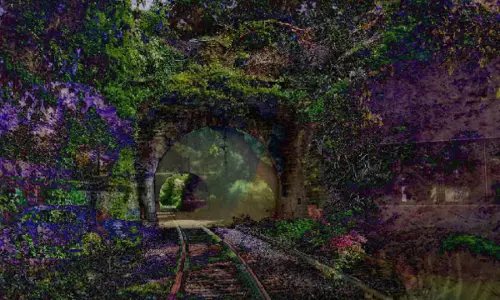 Reshaping The Canvas: The Thaler Echo