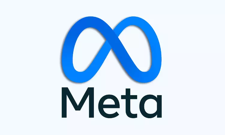 Meta Wins Copyright Infringement Suit Against Training Llama AI