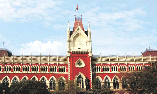 Calcutta High Court Sets Aside Patent Office Order Rejecting US Companys Glass Fibre Patent