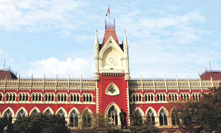 Calcutta High Court Sets Aside Patent Office Order Rejecting US Companys Glass Fibre Patent
