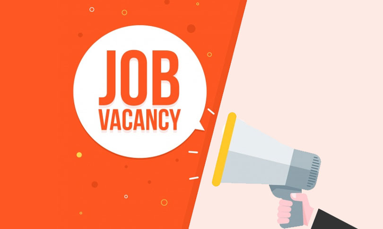 Assistant Professor (Law) Vacancy At Dr. B. R. Ambedkar University Of Social Sciences